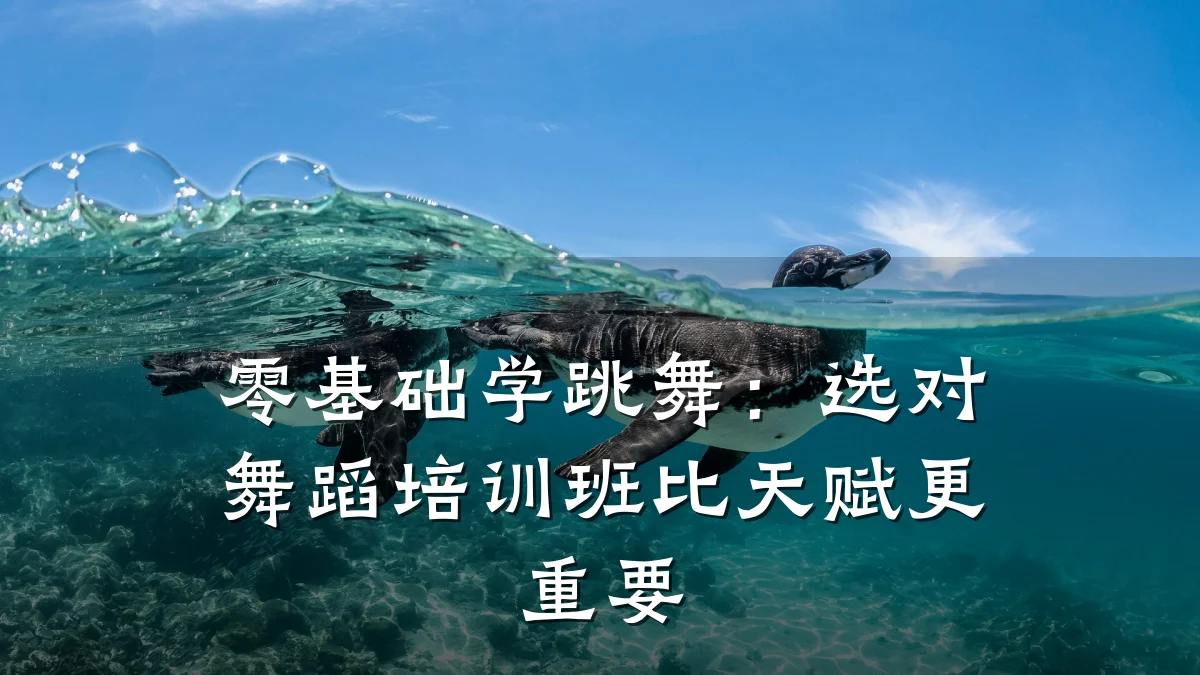 零基础学跳舞：选对舞蹈培训班比天赋更重要
