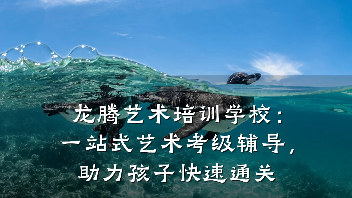 龙腾艺术培训学校：一站式艺术考级辅导，助力孩子快速通关