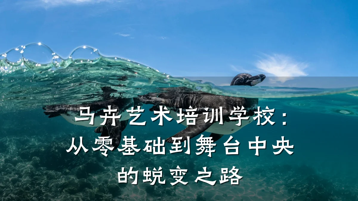 马卉艺术培训学校：从零基础到舞台中央的蜕变之路