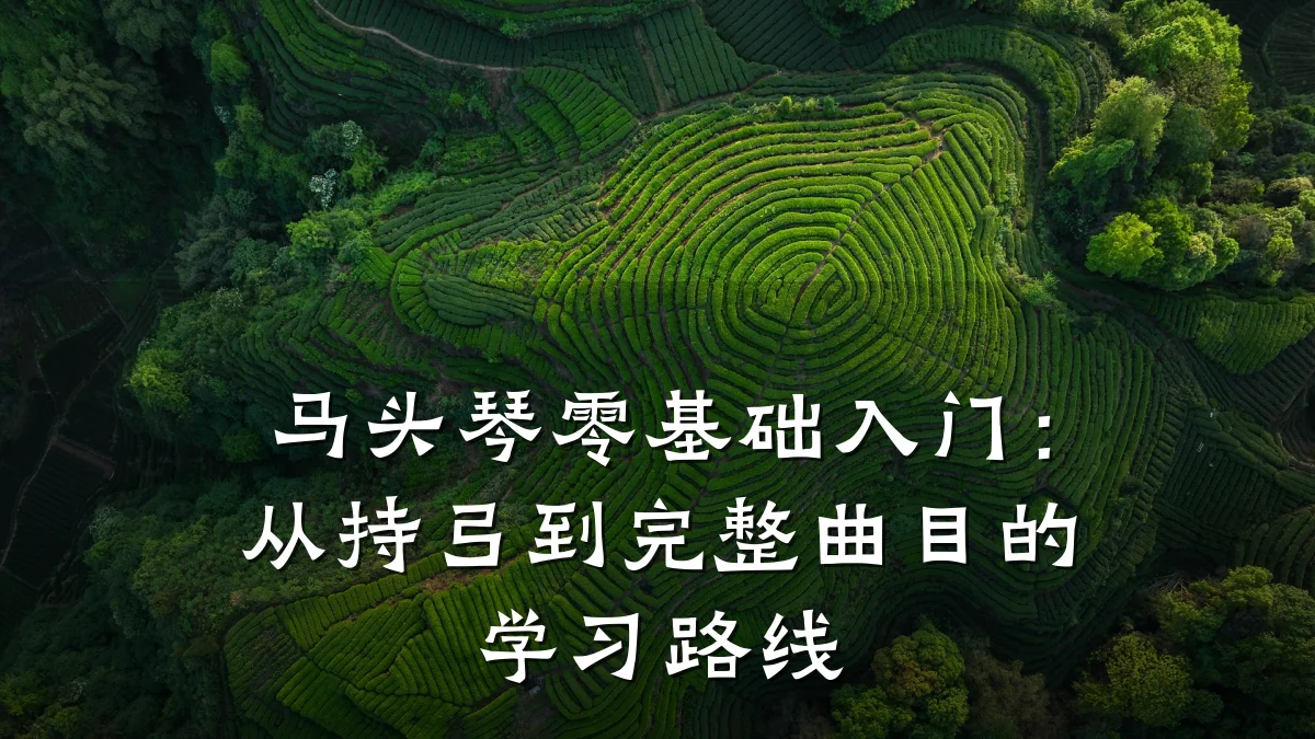 马头琴零基础入门：从持弓到完整曲目的学习路线