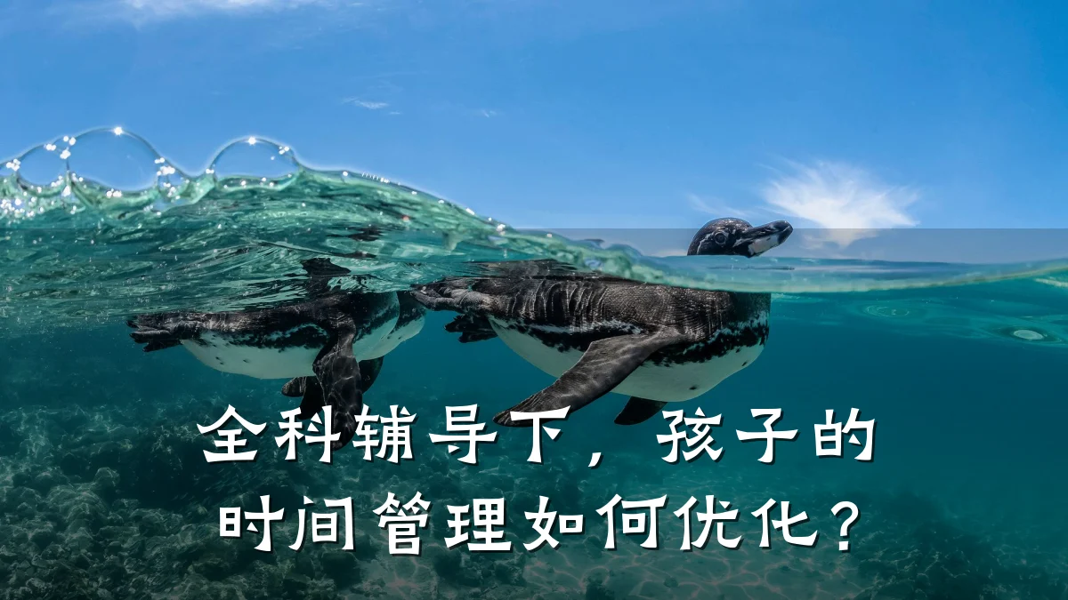 全科辅导下，孩子的时间管理如何优化？