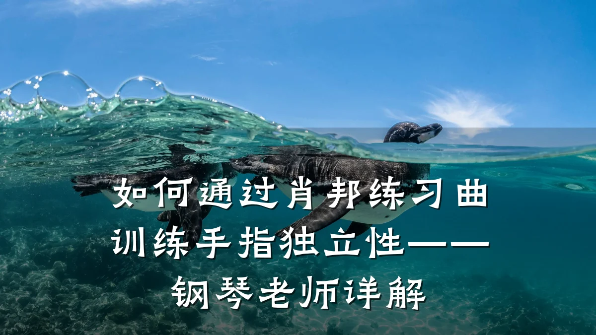 如何通过肖邦练习曲训练手指独立性——钢琴老师详解