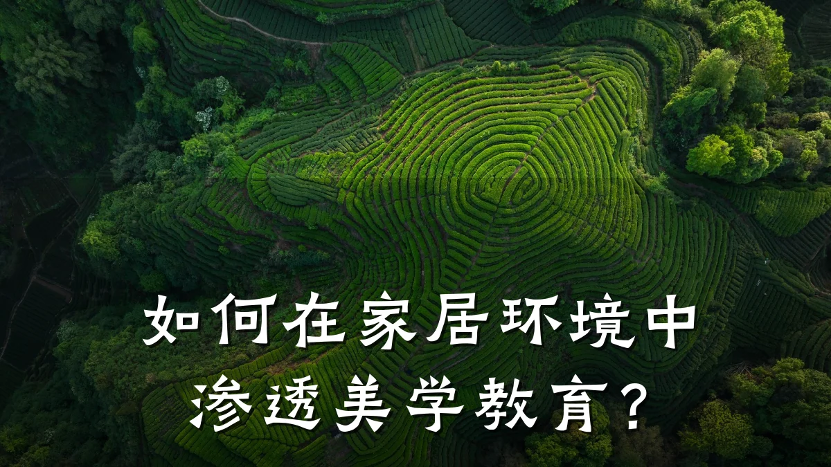 如何在家居环境中渗透美学教育？