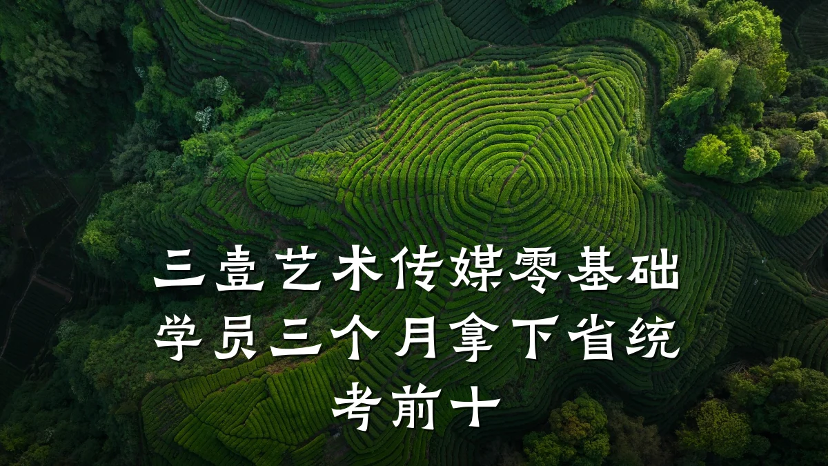 三壹艺术传媒零基础学员三个月拿下省统考前十
