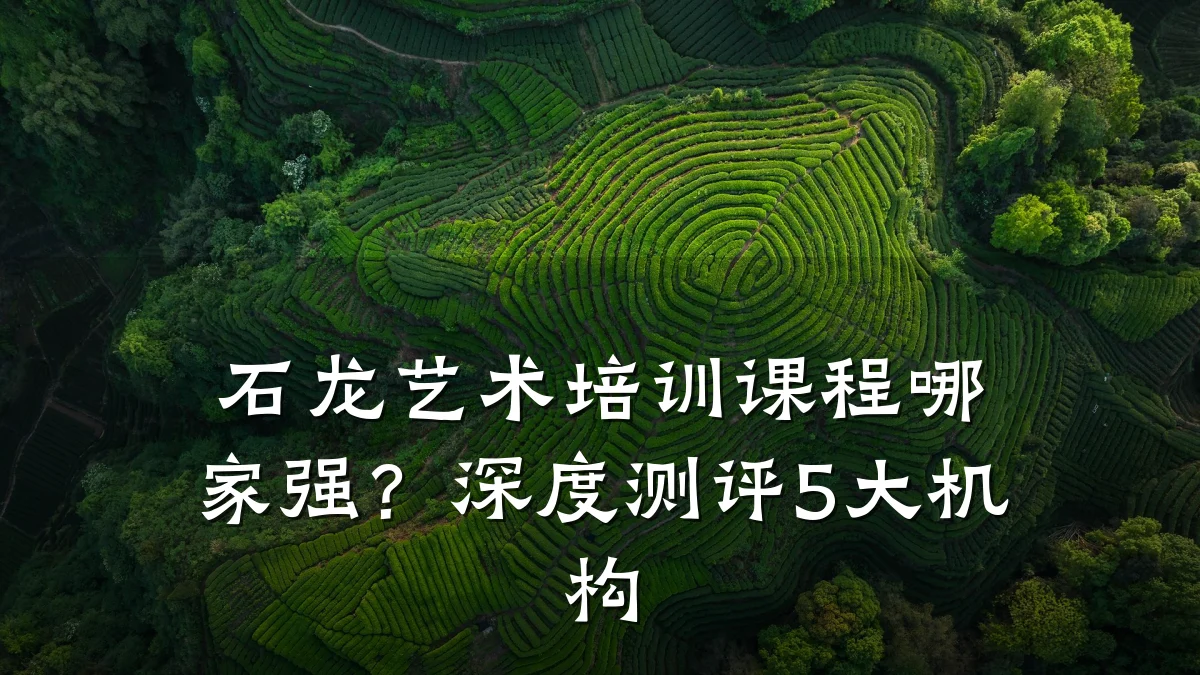 石龙艺术培训课程哪家强？深度测评5大机构