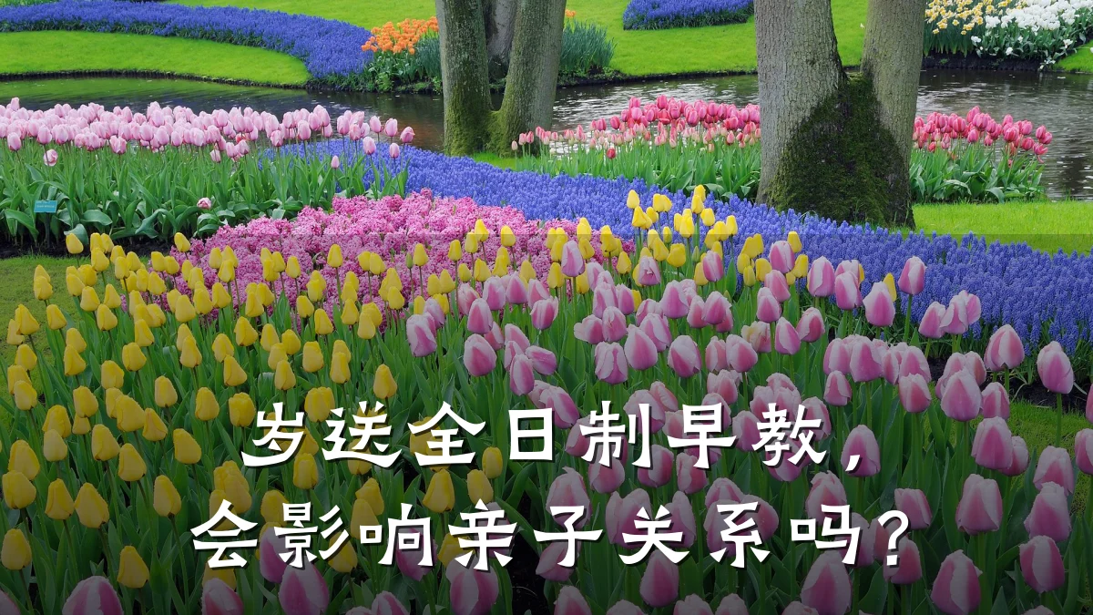 岁送全日制早教，会影响亲子关系吗？