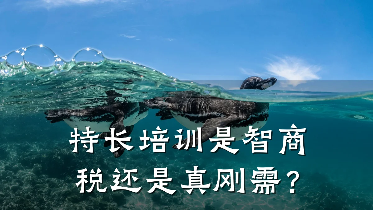 特长培训是智商税还是真刚需?