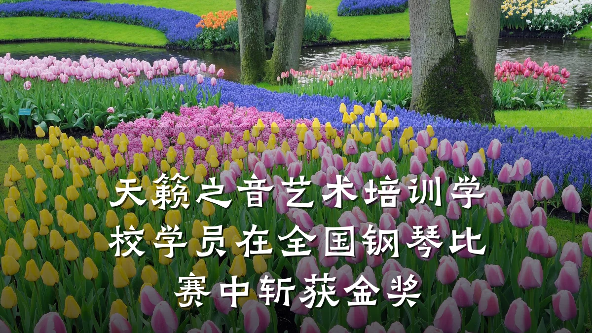 天籁之音艺术培训学校学员在全国钢琴比赛中斩获金奖