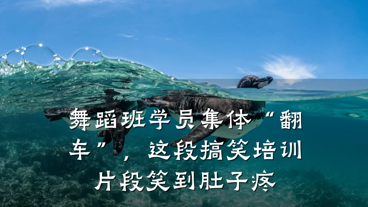 舞蹈班学员集体“翻车”，这段搞笑培训片段笑到肚子疼