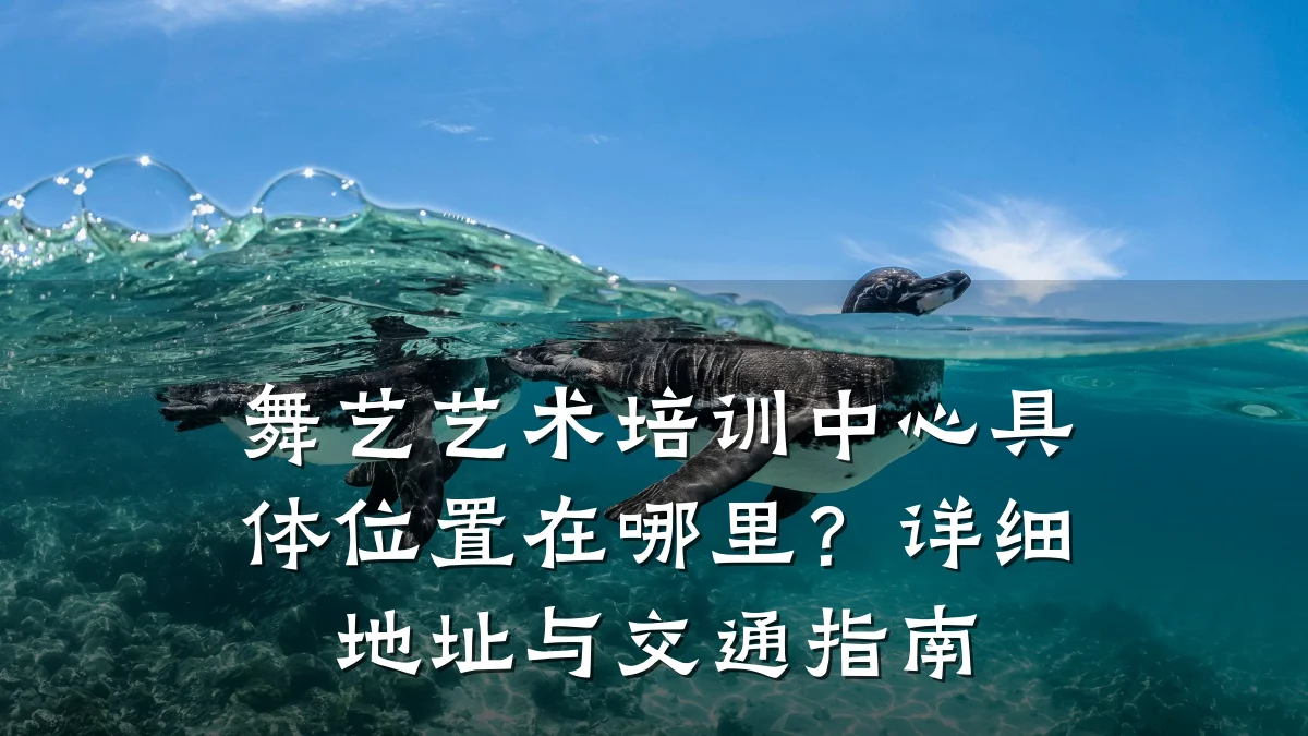 舞艺艺术培训中心具体位置在哪里？详细地址与交通指南