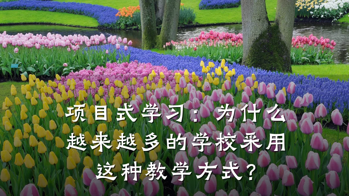 项目式学习：为什么越来越多的学校采用这种教学方式？
