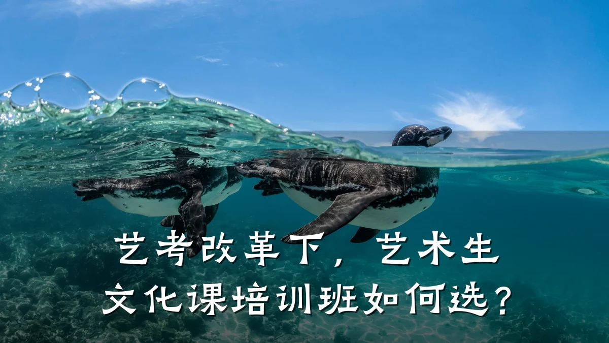 艺考改革下，艺术生文化课培训班如何选？