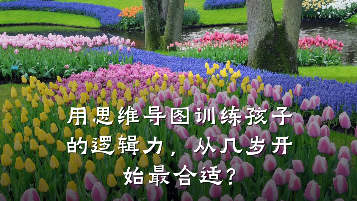 用思维导图训练孩子的逻辑力，从几岁开始最合适？