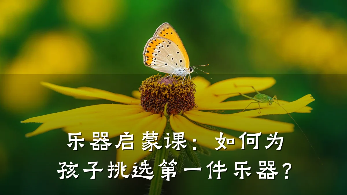 乐器启蒙课：如何为孩子挑选第一件乐器？