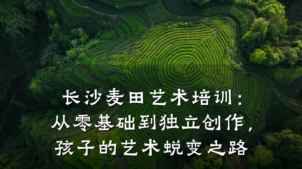 长沙麦田艺术培训：从零基础到独立创作，孩子的艺术蜕变之路