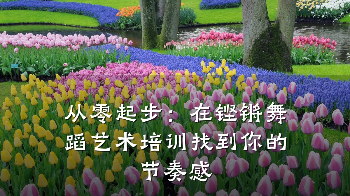 从零起步：在铿锵舞蹈艺术培训找到你的节奏感