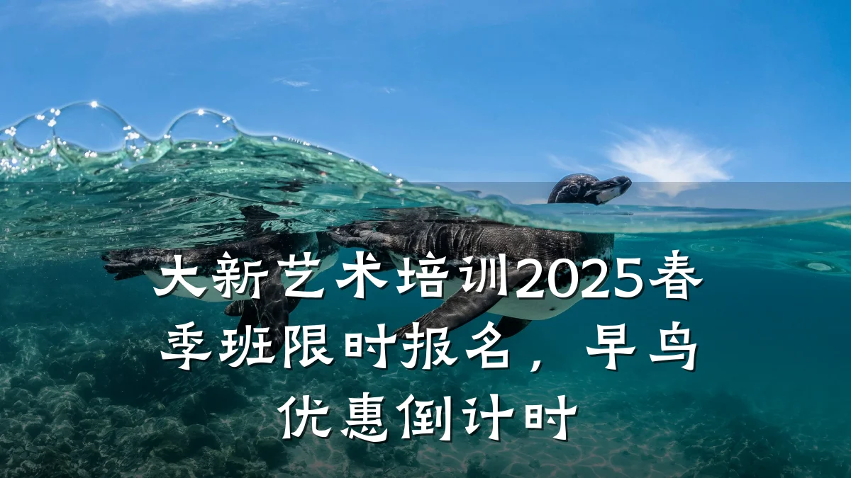 大新艺术培训2025春季班限时报名,早鸟优惠倒计时