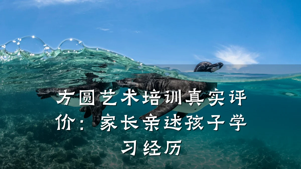 方圆艺术培训真实评价：家长亲述孩子学习经历