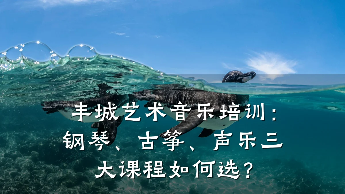 丰城艺术音乐培训：钢琴、古筝、声乐三大课程如何选？