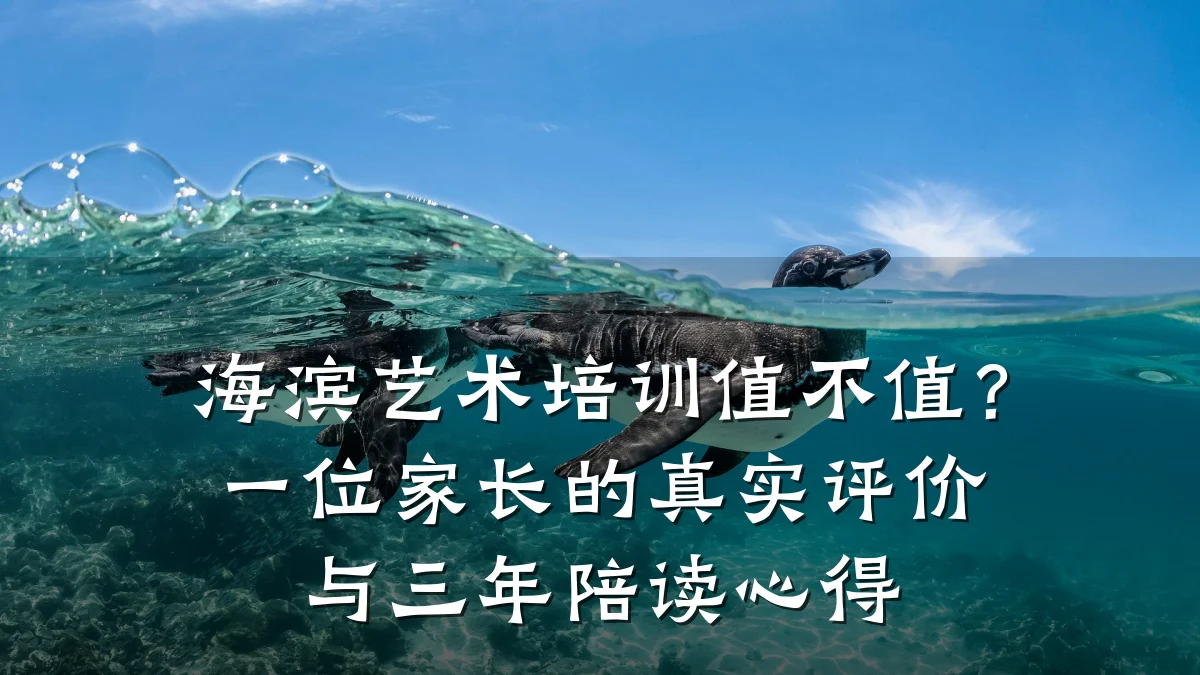 海滨艺术培训值不值？一位家长的真实评价与三年陪读心得