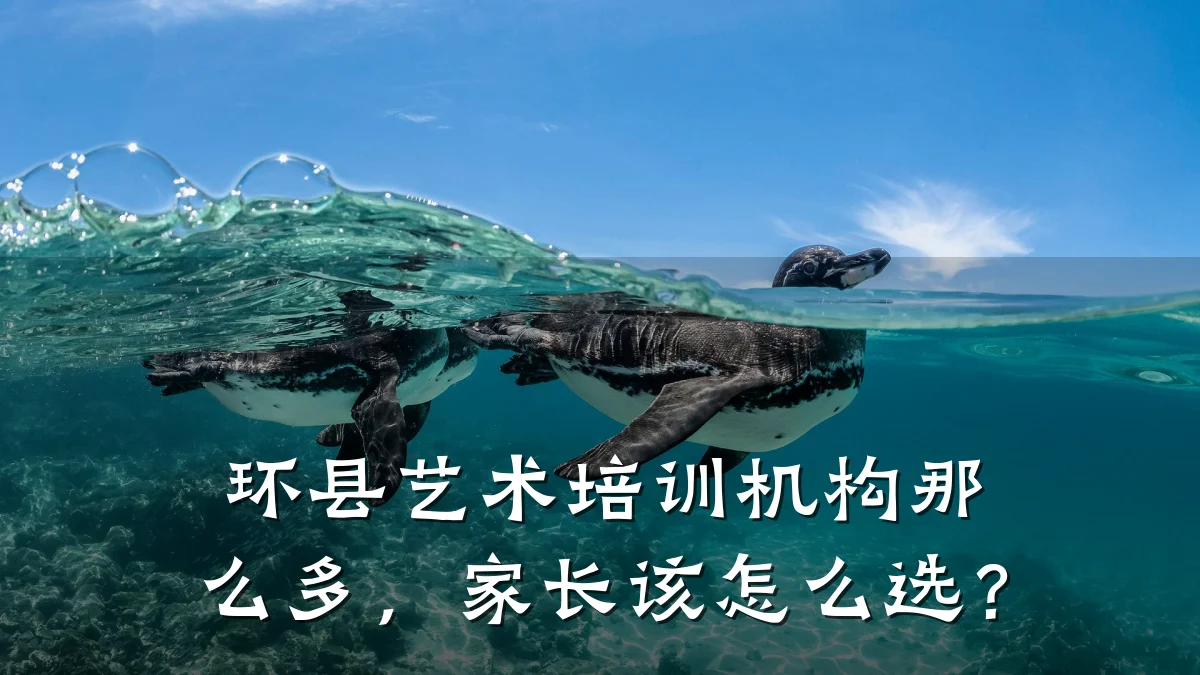 环县艺术培训机构那么多，家长该怎么选？