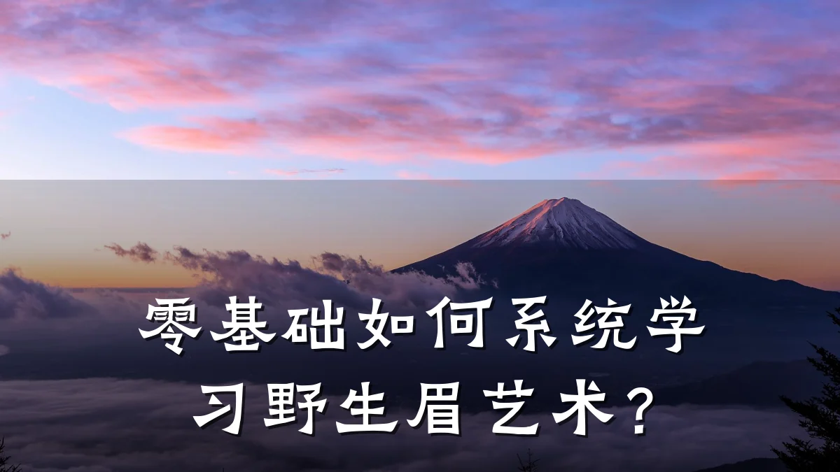 零基础如何系统学习野生眉艺术？