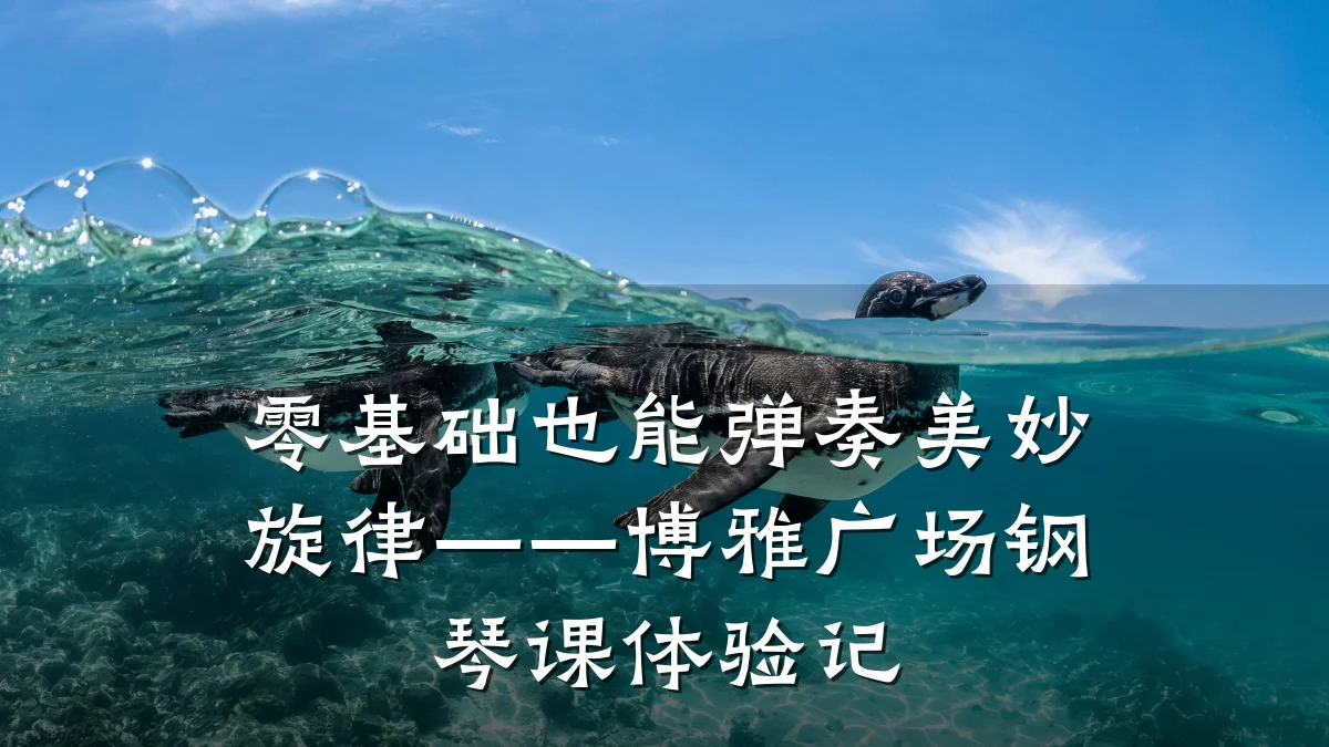 零基础也能弹奏美妙旋律——博雅广场钢琴课体验记