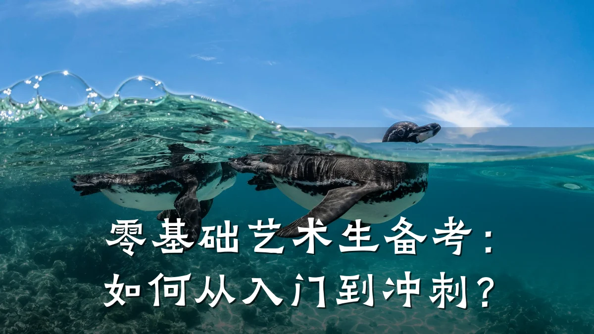 零基础艺术生备考：如何从入门到冲刺？
