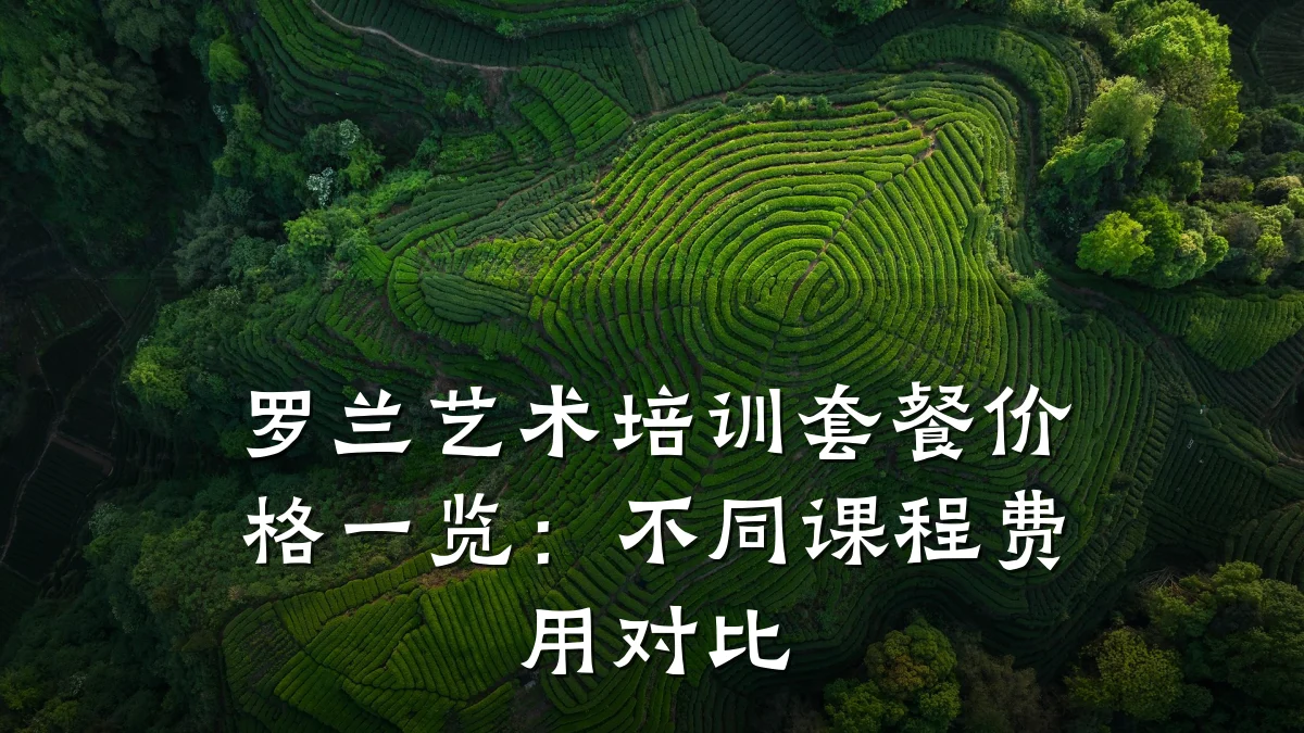 罗兰艺术培训套餐价格一览：不同课程费用对比