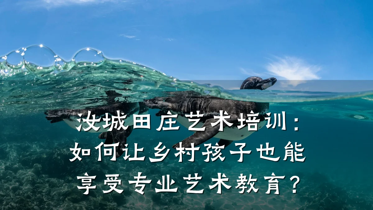 汝城田庄艺术培训：如何让乡村孩子也能享受专业艺术教育？