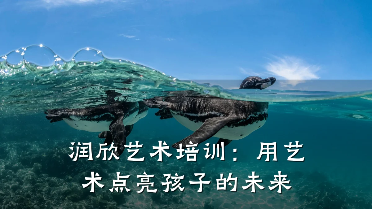 润欣艺术培训：用艺术点亮孩子的未来