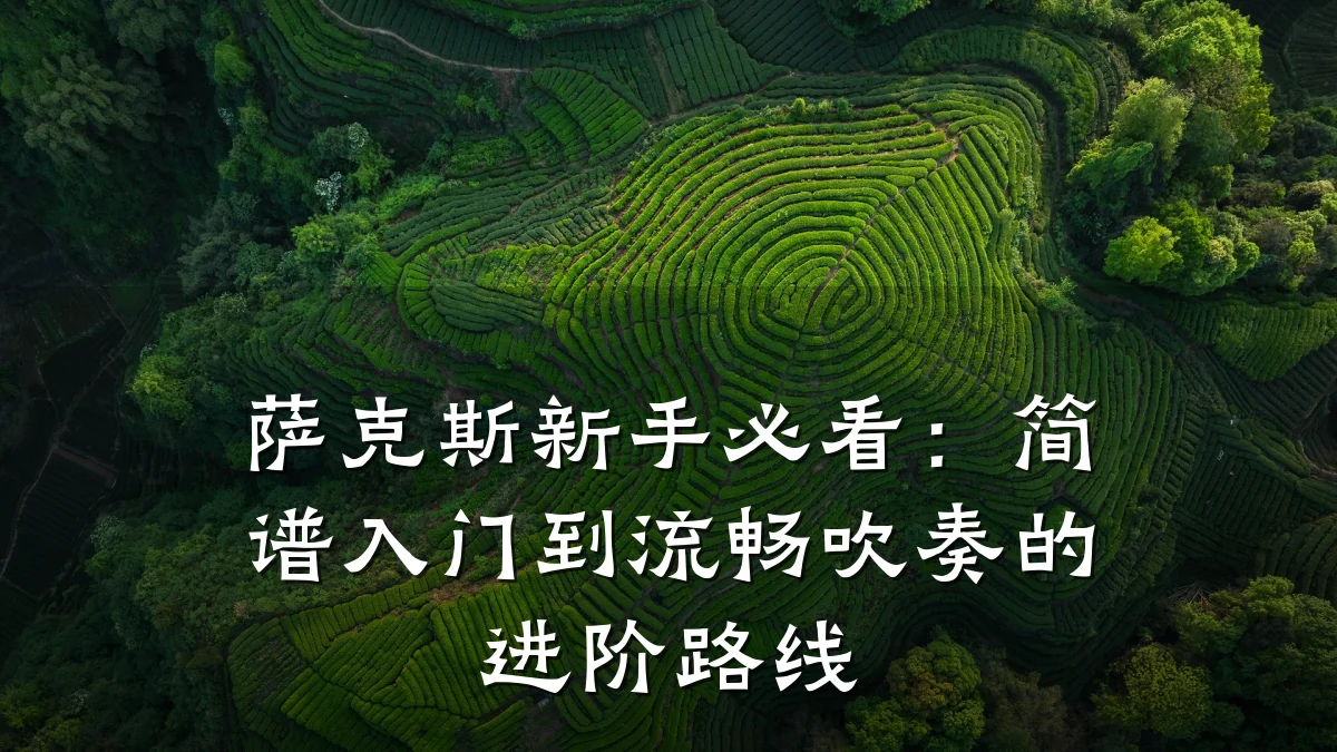 萨克斯新手必看：简谱入门到流畅吹奏的进阶路线