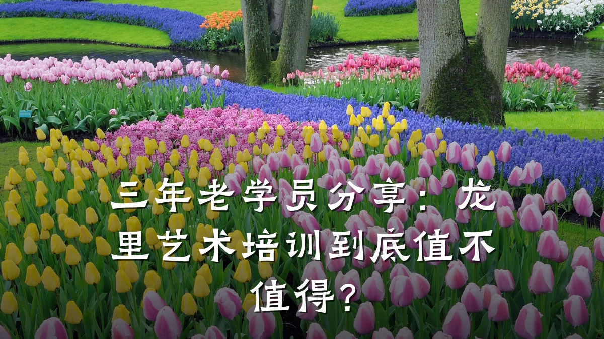 三年老学员分享：龙里艺术培训到底值不值得？
