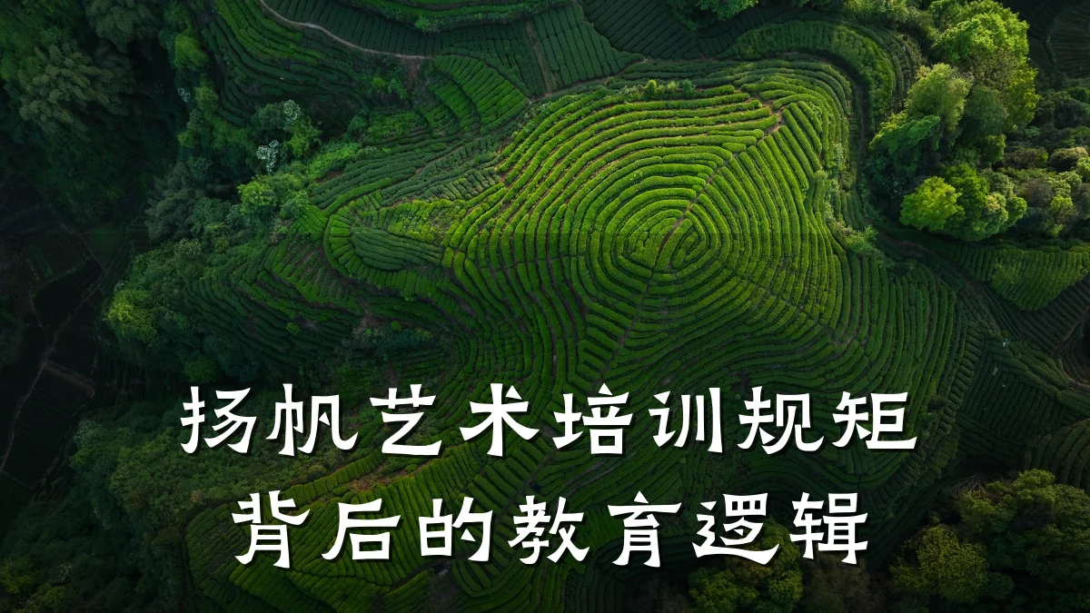 扬帆艺术培训规矩背后的教育逻辑