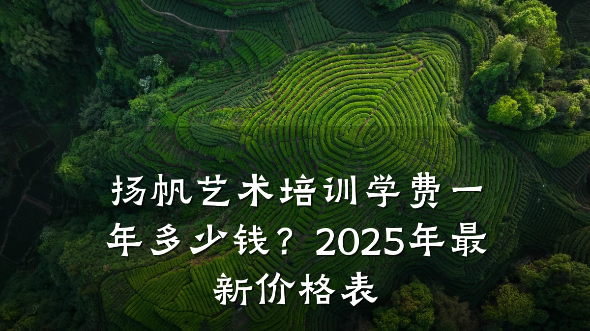 扬帆艺术培训学费一年多少钱？2025年最新价格表