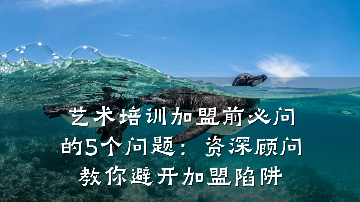 艺术培训加盟前必问的5个问题：资深顾问教你避开加盟陷阱