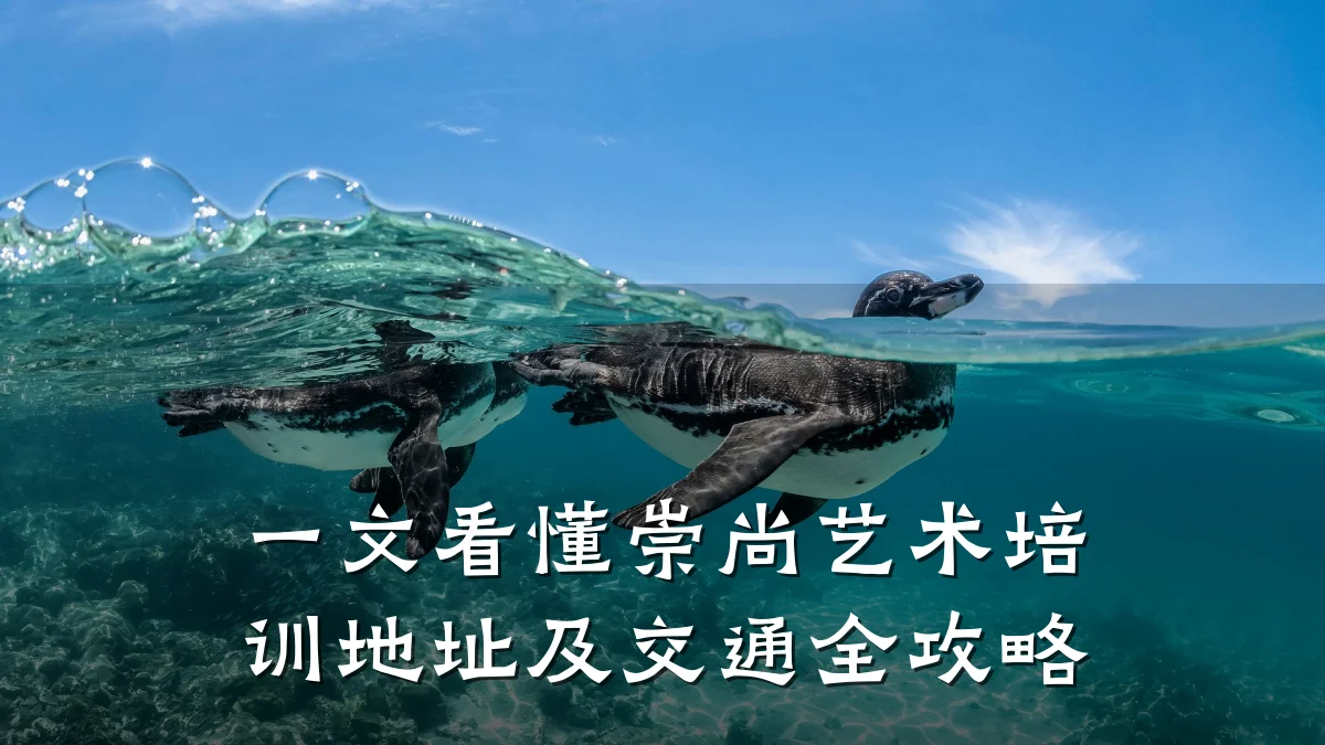 一文看懂崇尚艺术培训地址及交通全攻略