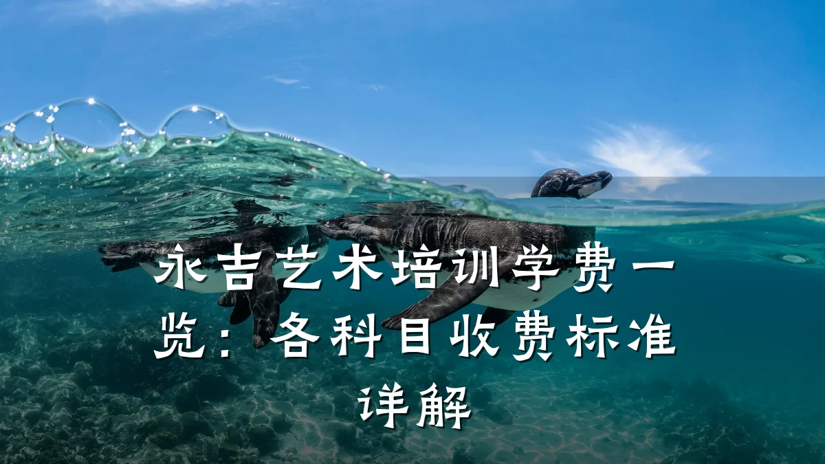 永吉艺术培训学费一览:各科目收费标准详解