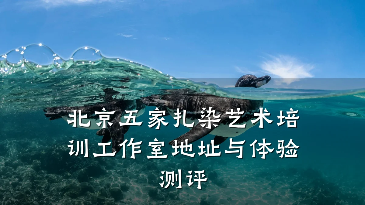 北京五家扎染艺术培训工作室地址与体验测评