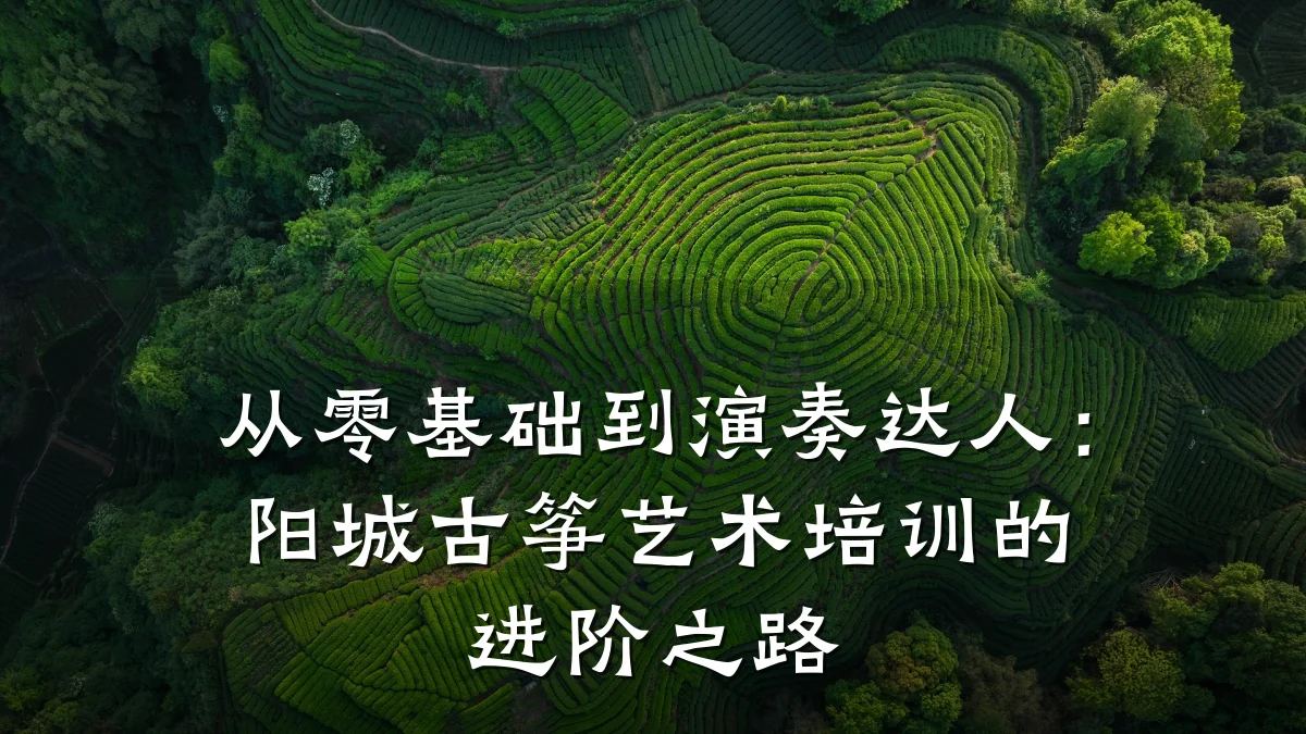 从零基础到演奏达人：阳城古筝艺术培训的进阶之路