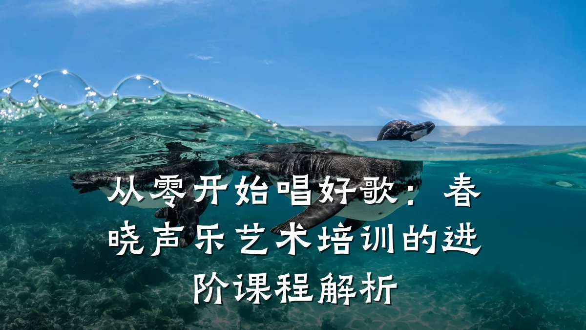 从零开始唱好歌：春晓声乐艺术培训的进阶课程解析