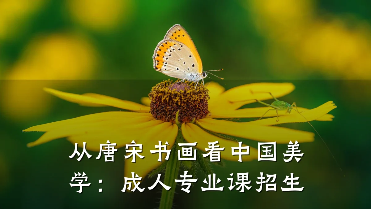 从唐宋书画看中国美学：成人专业课招生