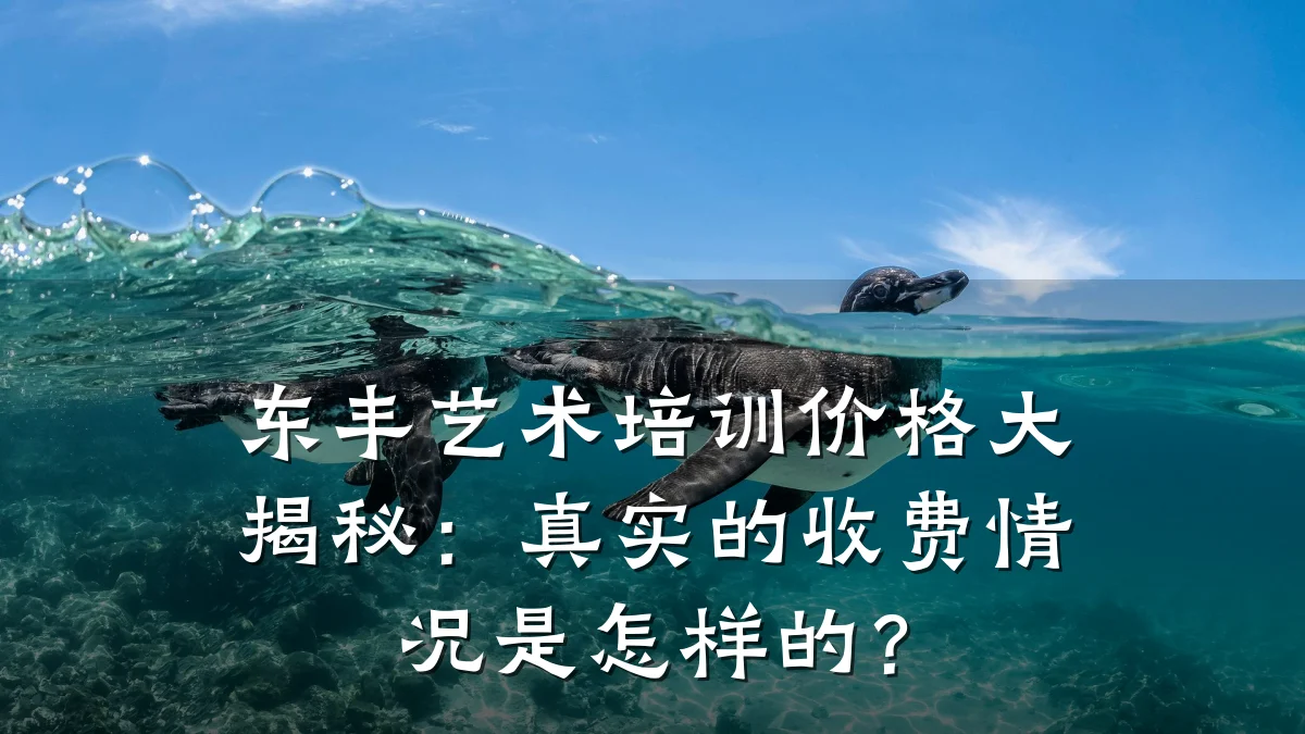 东丰艺术培训价格大揭秘：真实的收费情况是怎样的？