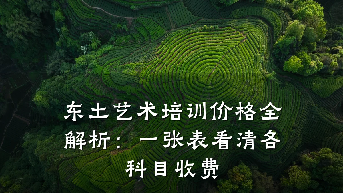 东土艺术培训价格全解析：一张表看清各科目收费
