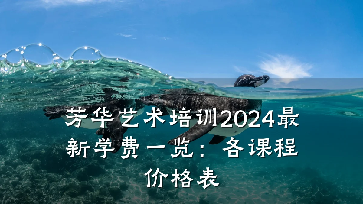 芳华艺术培训2024最新学费一览：各课程价格表