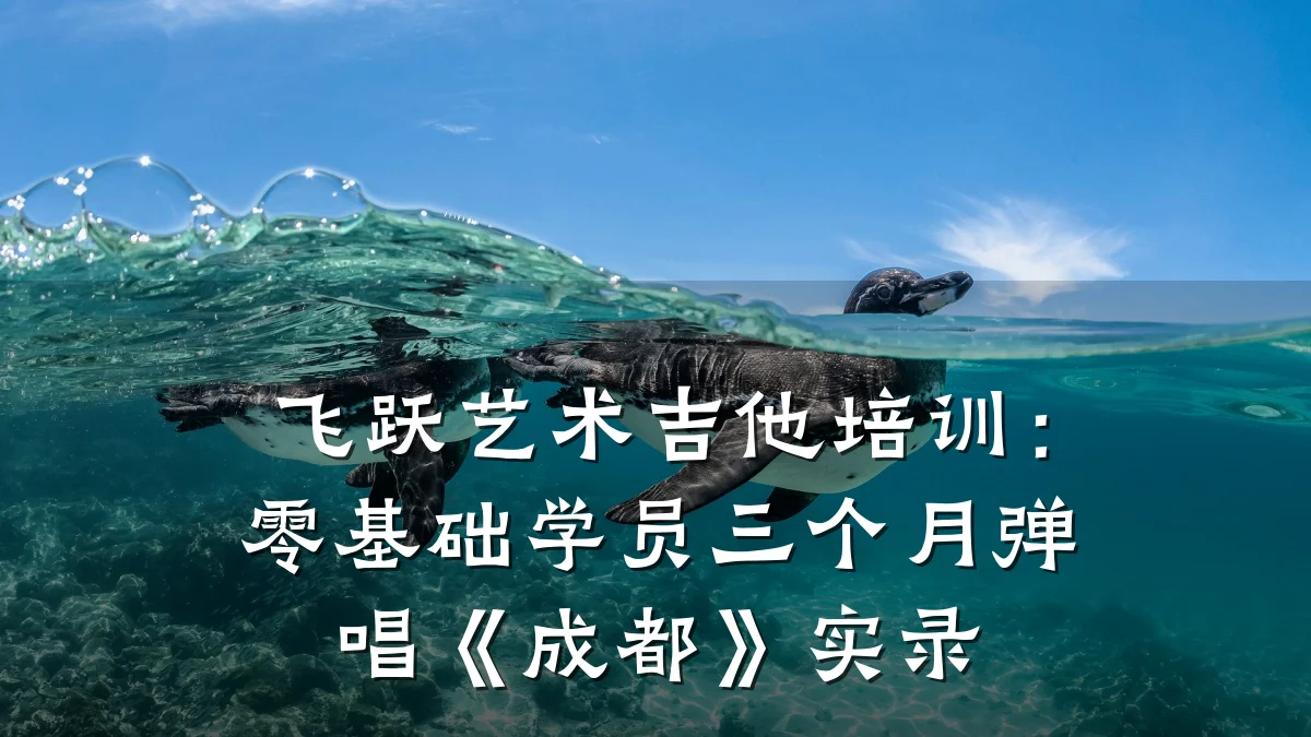 飞跃艺术吉他培训：零基础学员三个月弹唱《成都》实录