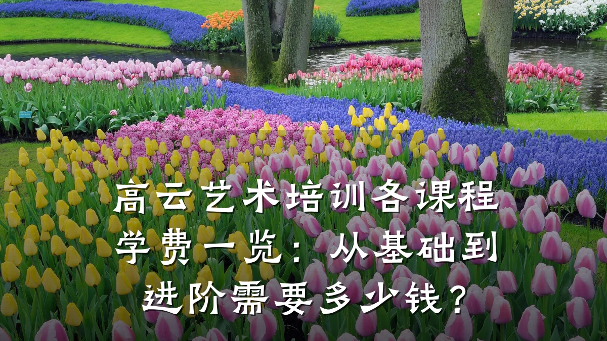 高云艺术培训各课程学费一览：从基础到进阶需要多少钱？
