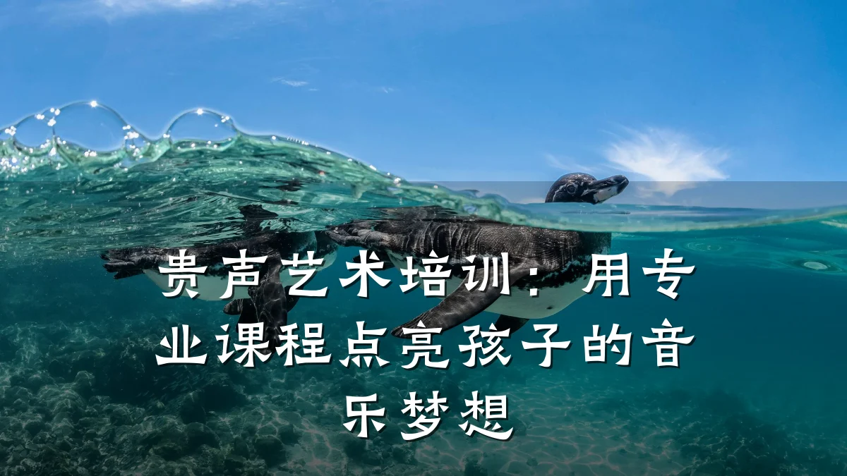 贵声艺术培训：用专业课程点亮孩子的音乐梦想