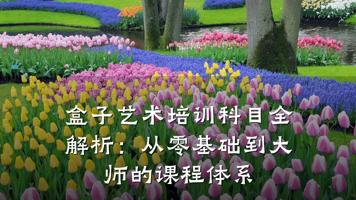 盒子艺术培训科目全解析：从零基础到大师的课程体系