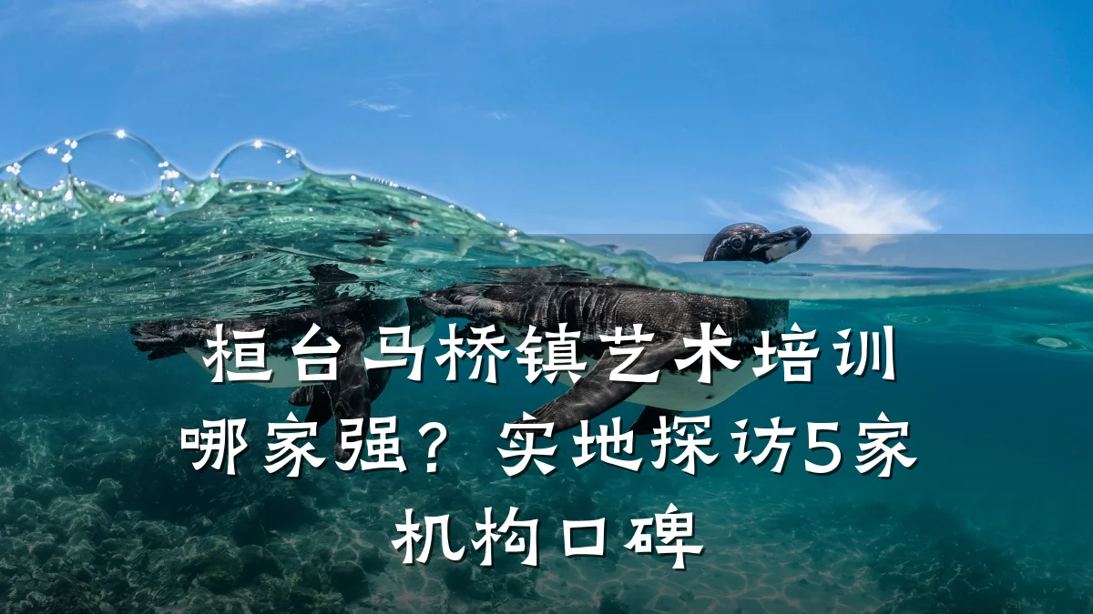 桓台马桥镇艺术培训哪家强？实地探访5家机构口碑